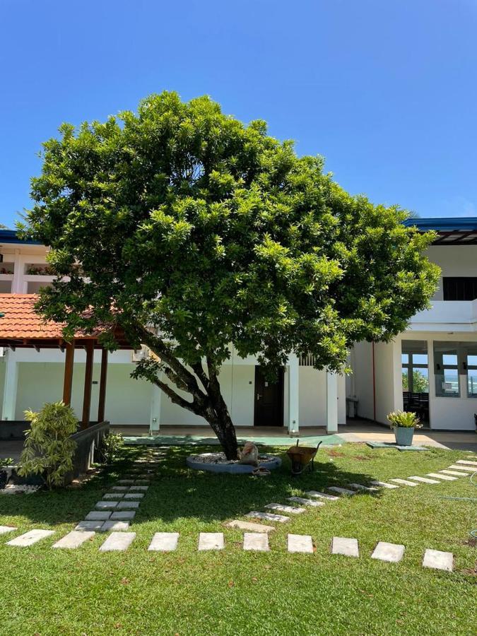 Hôtel Pink Land à Beruwala Extérieur photo